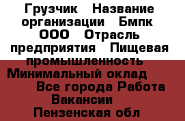 Грузчик › Название организации ­ Бмпк, ООО › Отрасль предприятия ­ Пищевая промышленность › Минимальный оклад ­ 20 000 - Все города Работа » Вакансии   . Пензенская обл.